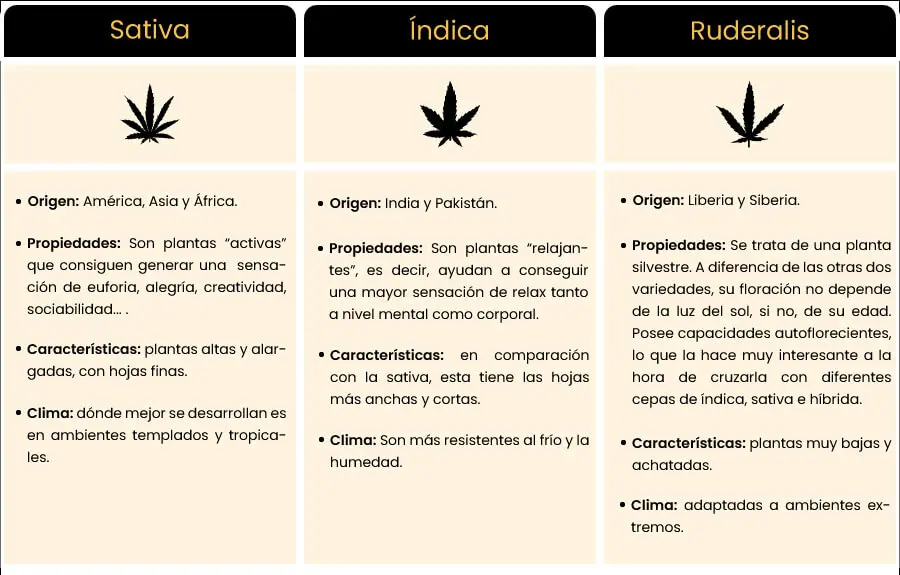 Tipos de Plantas Cannabis